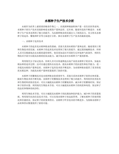 水稻种子生产技术分析