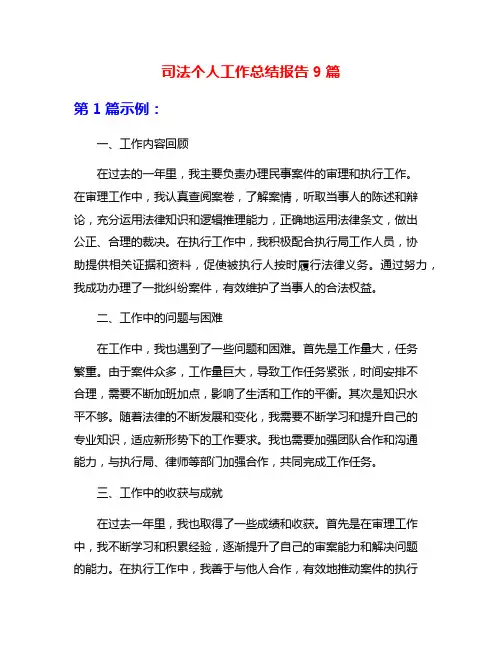 司法个人工作总结报告9篇
