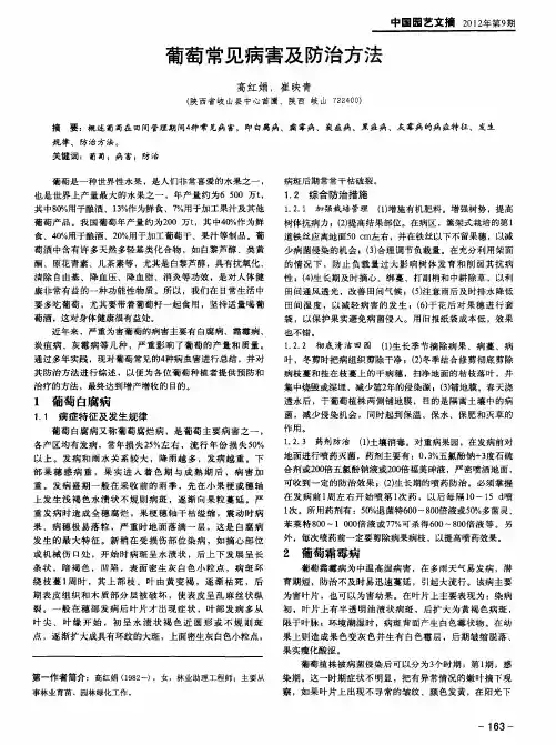 葡萄常见病害及防治方法