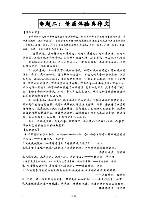情感体验类作文