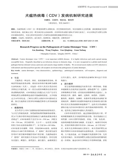 犬瘟热病毒(CDV)发病机制研究进展