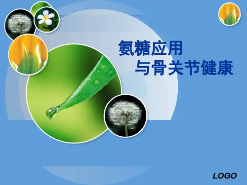 氨糖应用与骨关节健康.ppt1