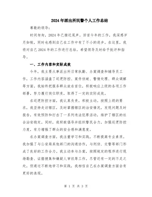 2024年派出所民警个人工作总结