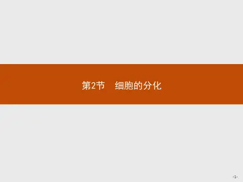 细胞的分化【新教材】人教版高中生物必修一教学ppt课件
