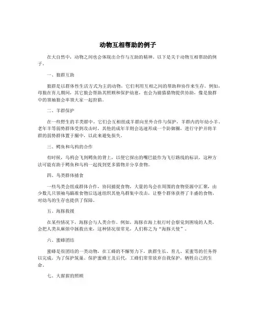 动物互相帮助的例子