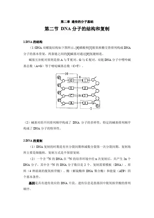 2.2 DNA分子的结构和复制