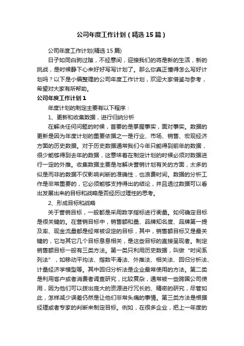 公司年度工作计划（精选15篇）