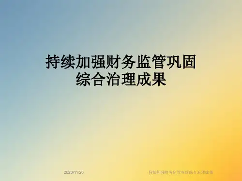 持续加强财务监管巩固综合治理成果