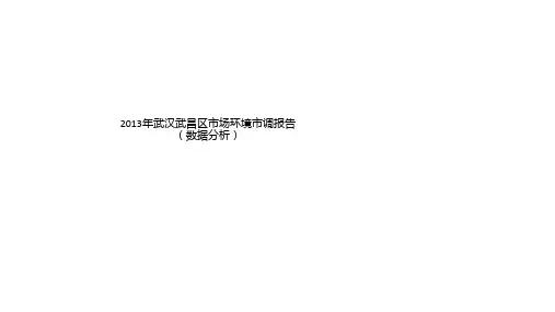 2013年武汉武昌区市场环境市调报告(数据分析)
