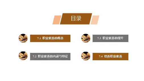 职业与职业素养