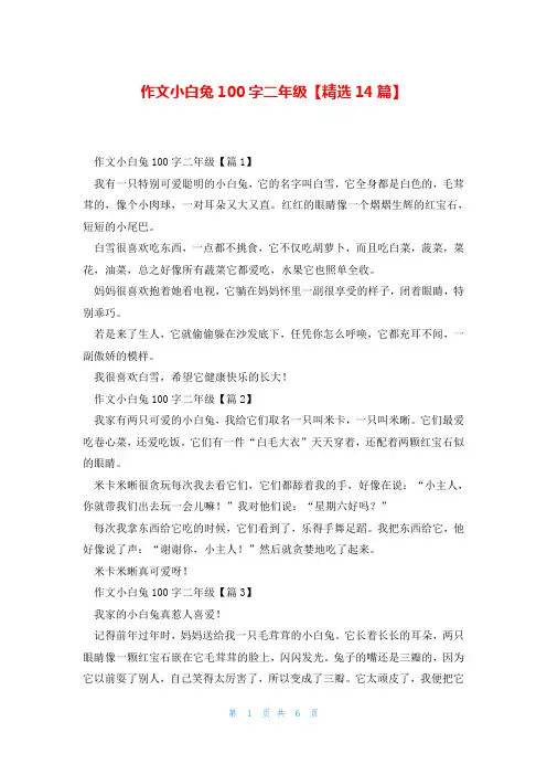 作文小白兔100字二年级【精选14篇】
