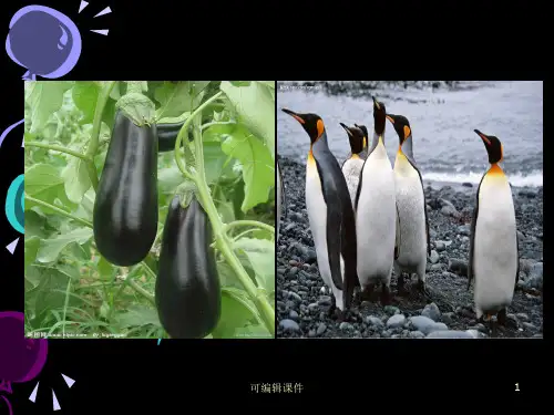 小学美术《奇思妙想》ppt课件