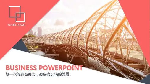 精美多图表欧美风PPT模板(精品)