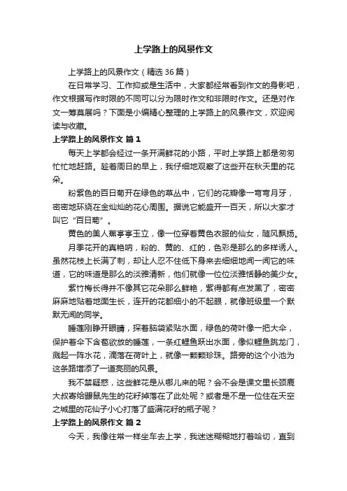 上学路上的风景作文（精选36篇）