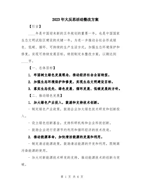 2023年大反思活动整改方案