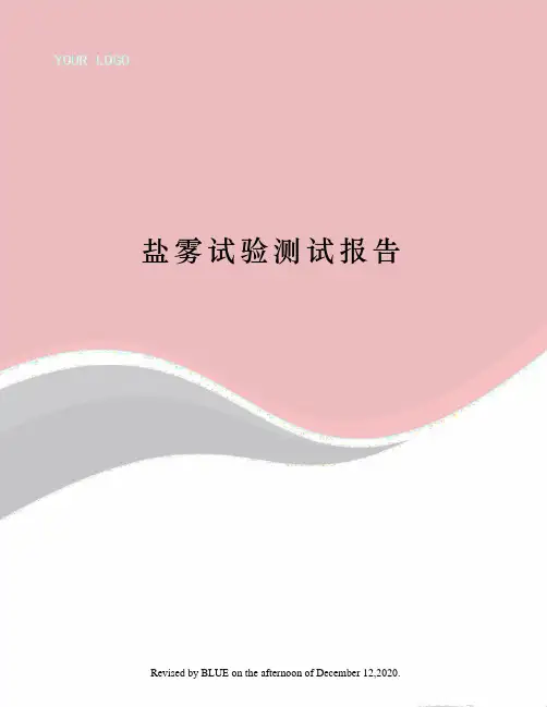盐雾试验测试报告