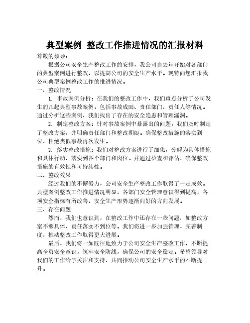 典型案例 整改工作推进情况的汇报材料