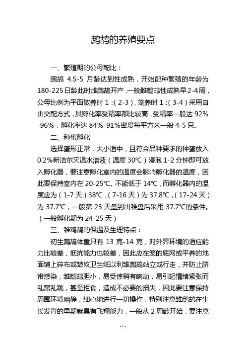 鹧鸪的养殖要点