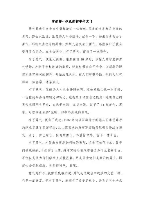 有那么一抹色彩初中满分作文600