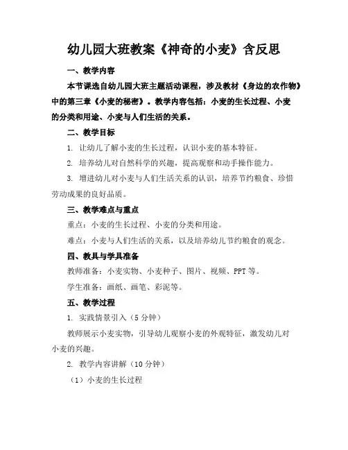 幼儿园大班教案《神奇的小麦》含反思