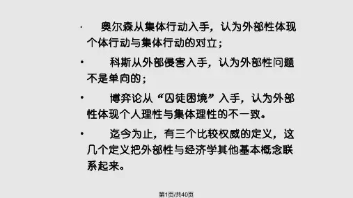 外部性矫正PPT课件