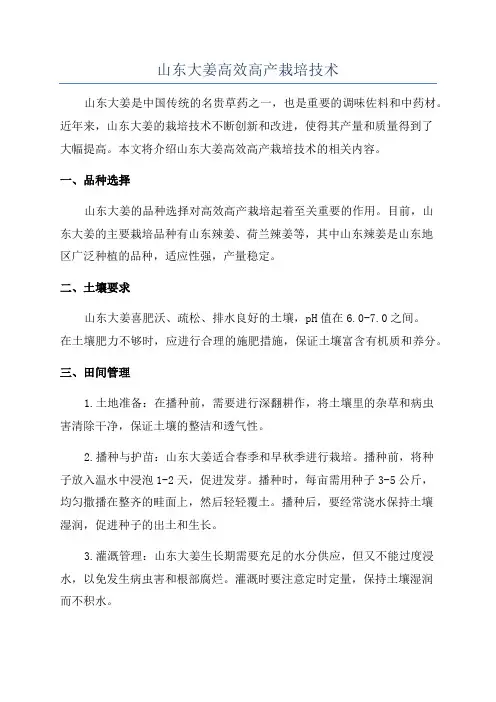 山东大姜高效高产栽培技术
