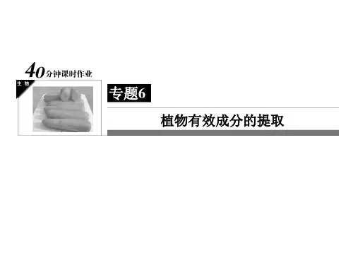 生物选修Ⅰ人教新课标6-2胡萝卜素的提取课件(41张)