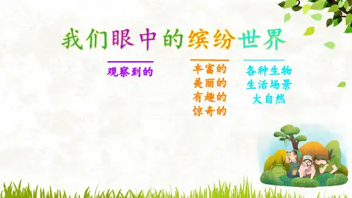 三年级语文上册第五单元《习作：我们眼中的缤纷世界》课件