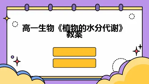 高一生物《植物的水分代谢》教案