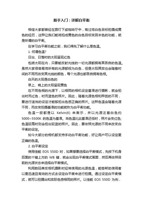 新手入门：详解白平衡