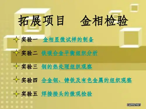 《金相检验》PPT课件