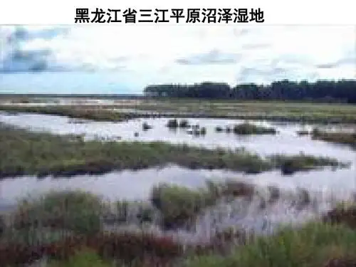 湘教版必修三2.2  湿地资源的开发与保护——以洞庭湖区为例 课件 (共34张PPT)