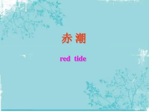 赤潮(环境ppt)