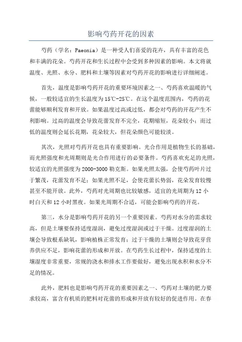 影响芍药开花的因素
