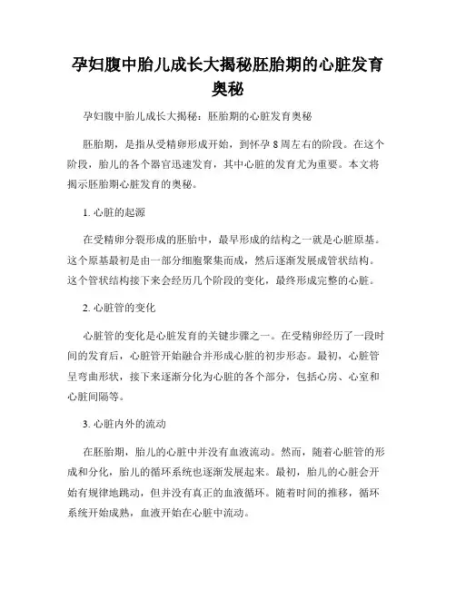 孕妇腹中胎儿成长大揭秘胚胎期的心脏发育奥秘
