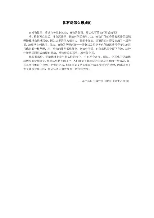 化石是怎么形成的