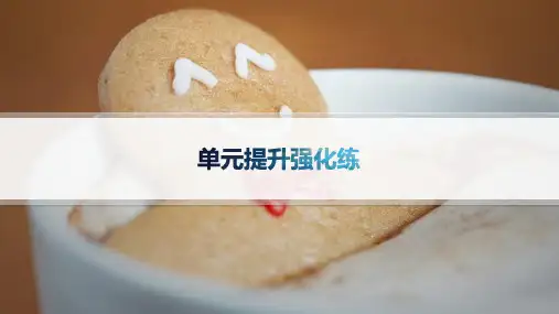 北师大版高中英语选择性必修第二册精品课件 UNIT 5 EDUCATION 单元提升强化练