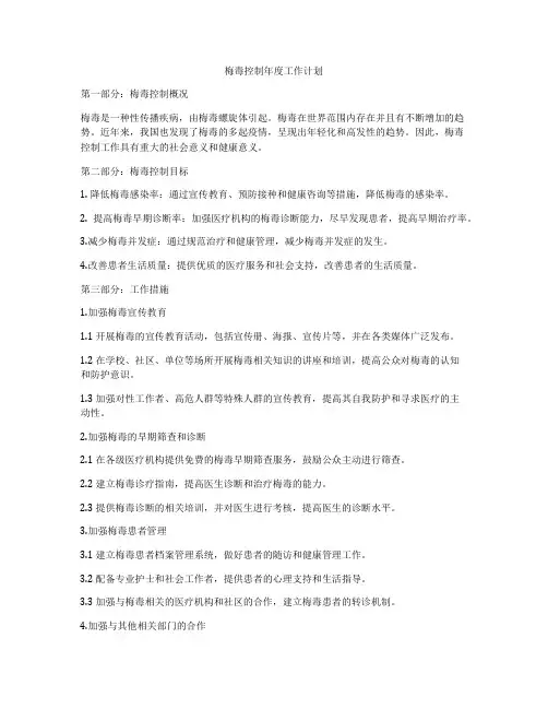 梅毒控制年度工作计划