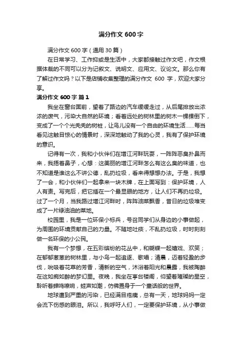 满分作文600字