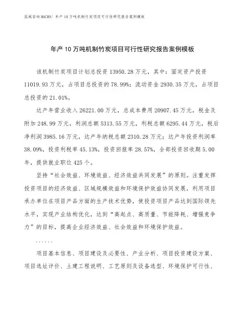 年产10万吨机制竹炭项目可行性研究报告案例模板