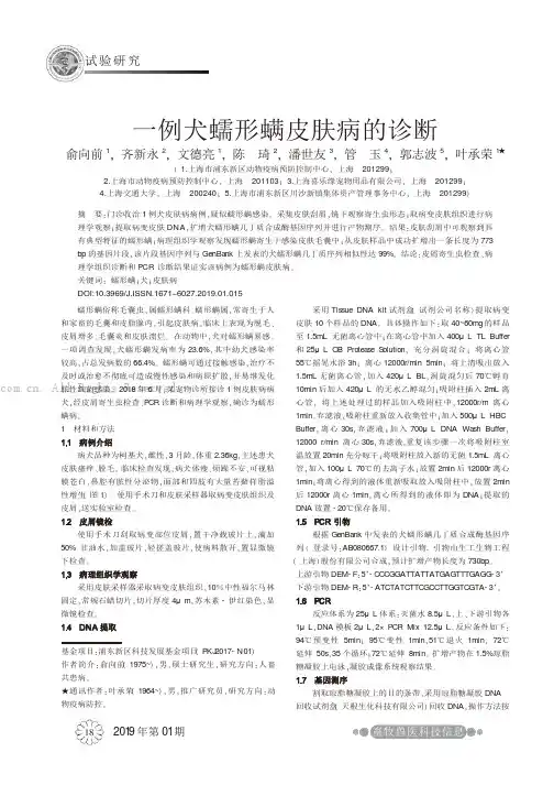一例犬蠕形螨皮肤病的诊断