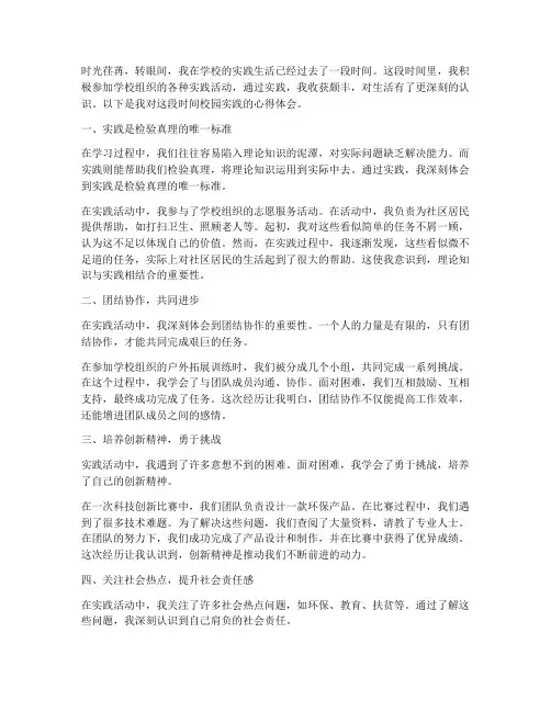 校园实践心得体会个人