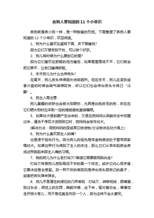 养狗人要知道的11个小常识
