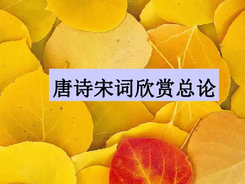 唐诗宋词欣赏总论演讲PPT