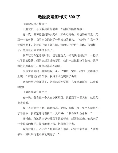遇险脱险的作文600字
