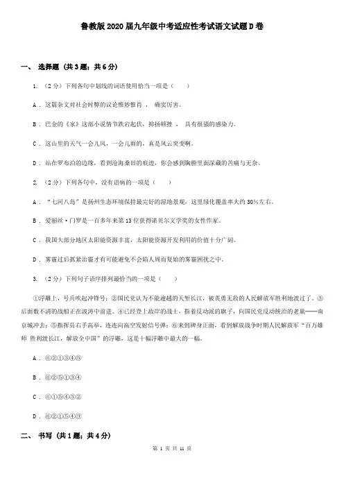 鲁教版2020届九年级中考适应性考试语文试题D卷