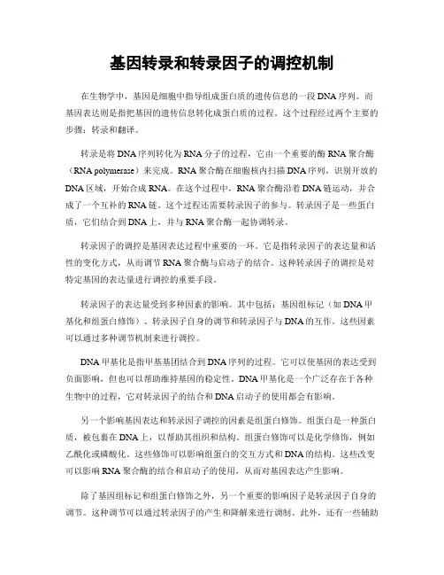 基因转录和转录因子的调控机制