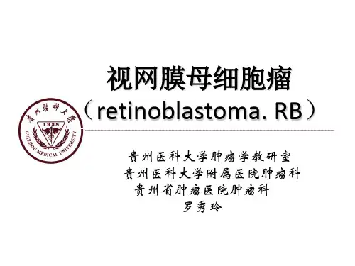 视网膜神经母细胞瘤教学版