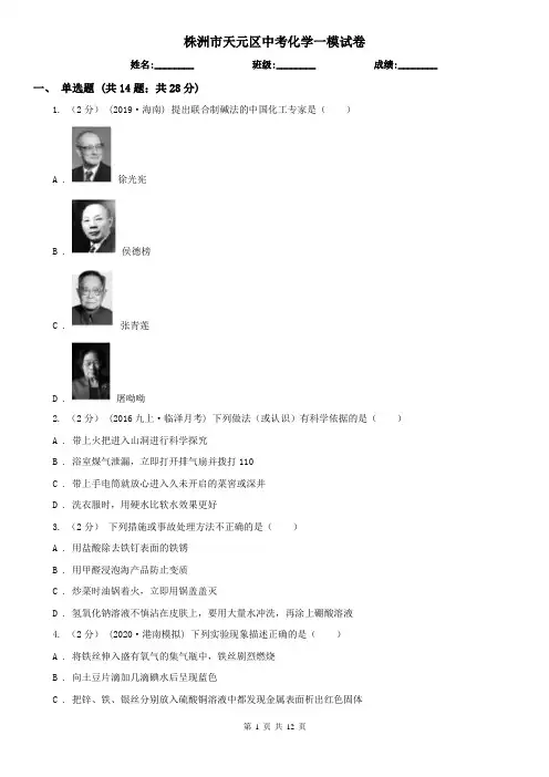 株洲市天元区中考化学一模试卷