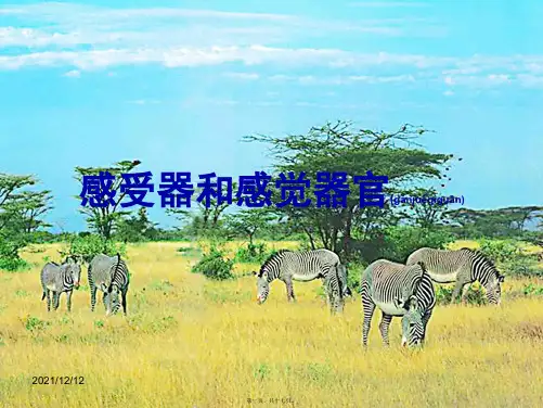 七年级生物下册 第12章 第二节 感受器和感觉器官课件1